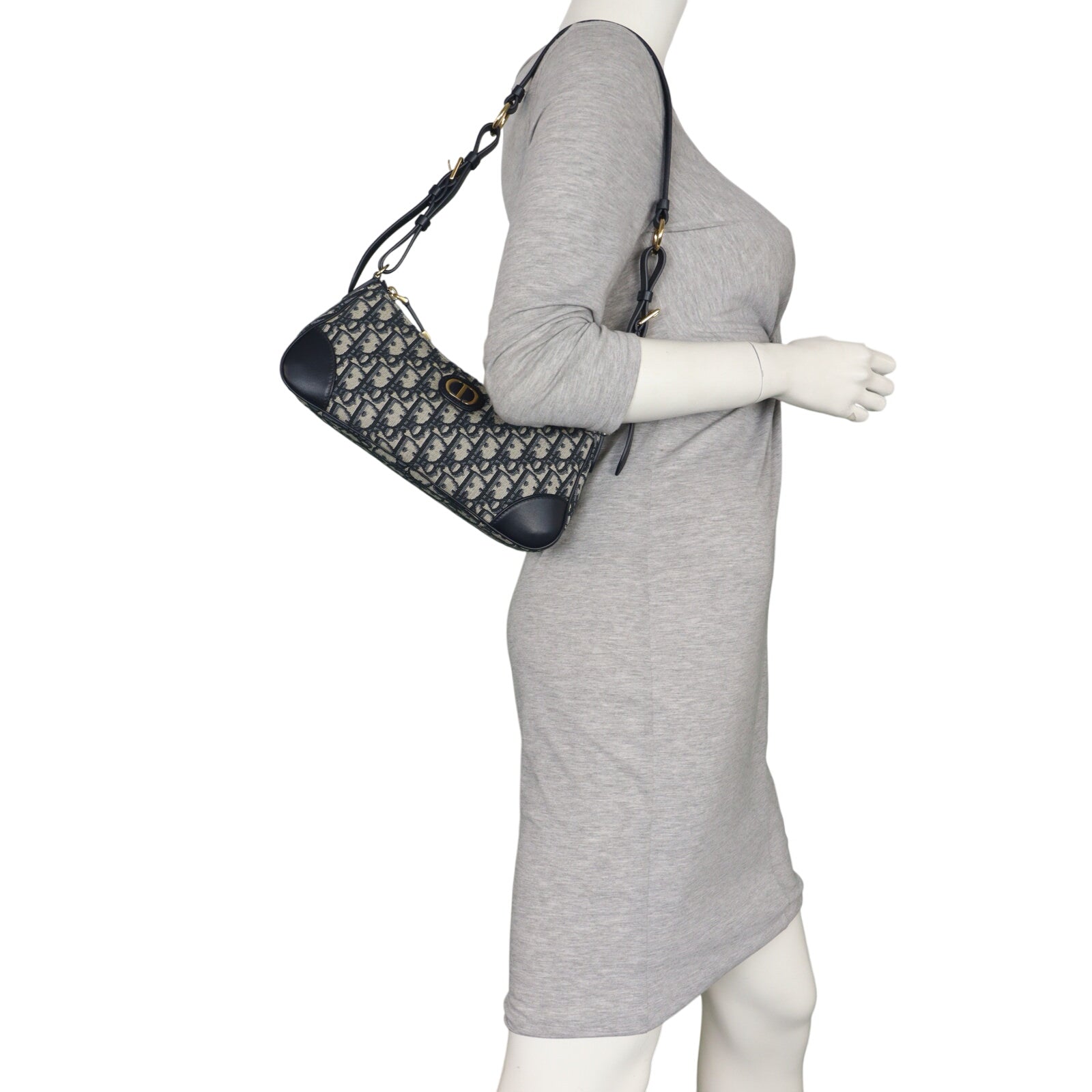 Dior 30 Montaigne Wanderlust Mini Oblique_IMG_2206.jpeg