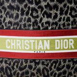 Dior Book Tote Large Leopard Mizza_IMG_3621.jpg