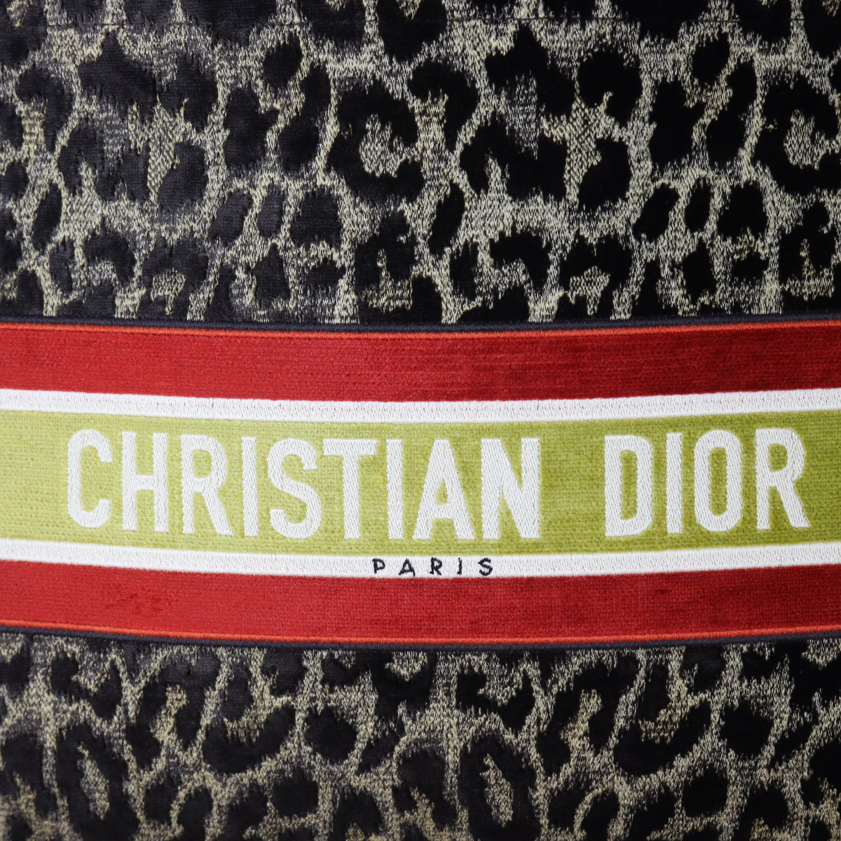 Dior Book Tote Large Leopard Mizza_IMG_3621.jpg
