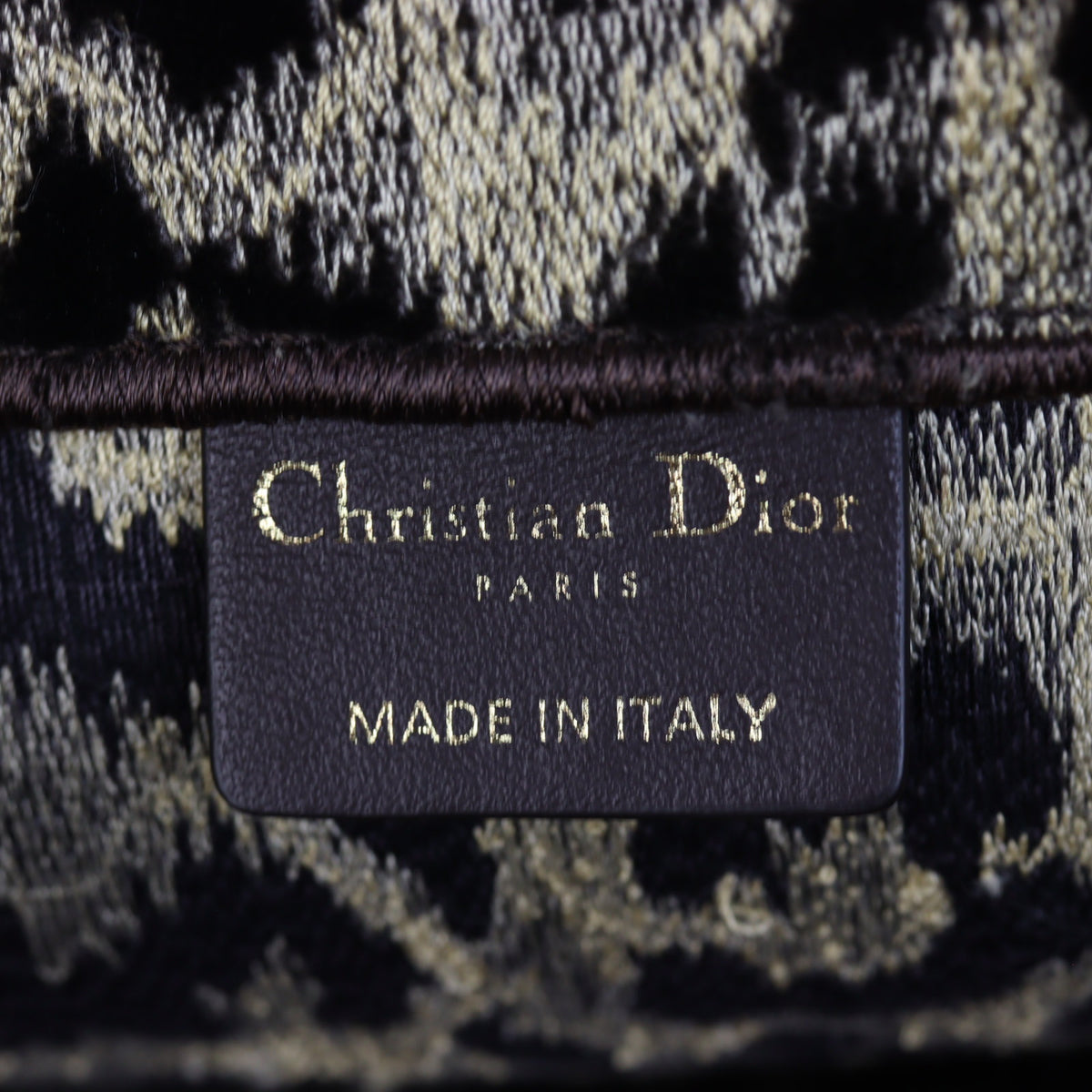 Dior Book Tote Large Leopard Mizza_IMG_3622.jpg