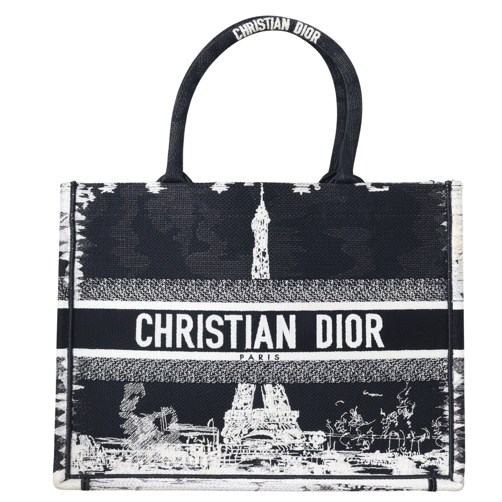 Dior Book Tote Medium Paris_IMG_8249.jpeg