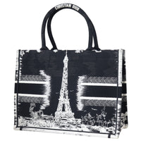 Dior Book Tote Medium Paris_IMG_8250.jpeg