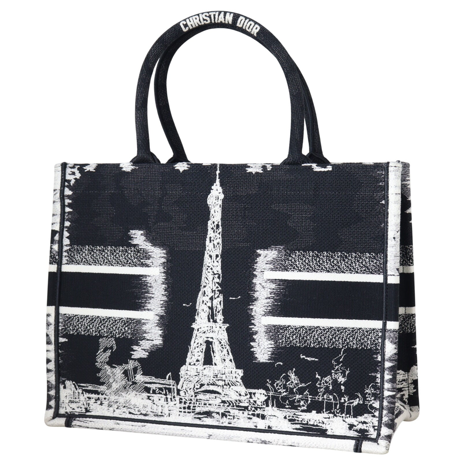 Dior Book Tote Medium Paris_IMG_8250.jpeg