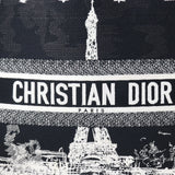 Dior Book Tote Medium Paris_IMG_8252.jpg