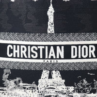 Dior Book Tote Medium Paris_IMG_8252.jpg
