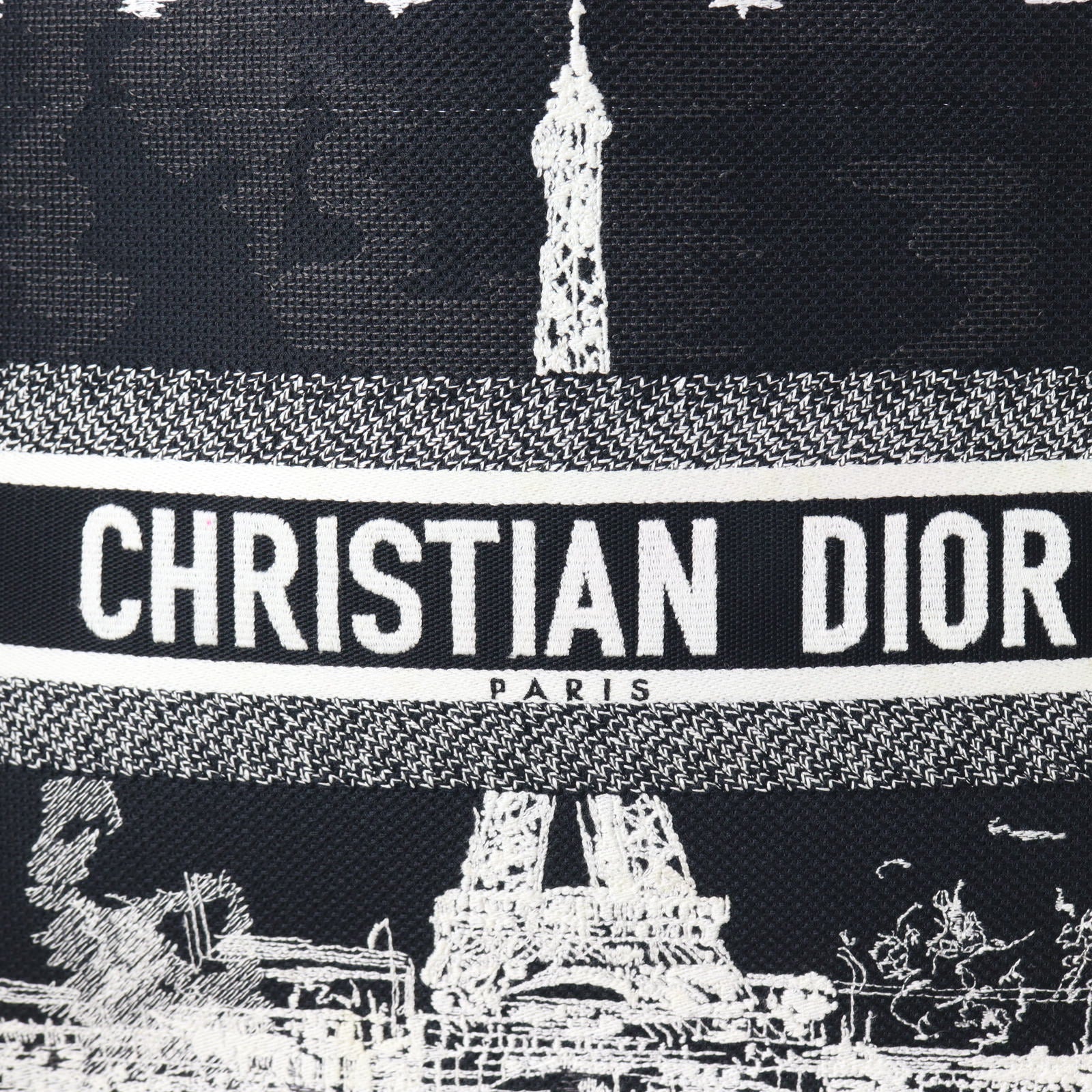 Dior Book Tote Medium Paris_IMG_8252.jpg