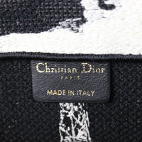 Dior Book Tote Medium Paris_IMG_8253.jpg