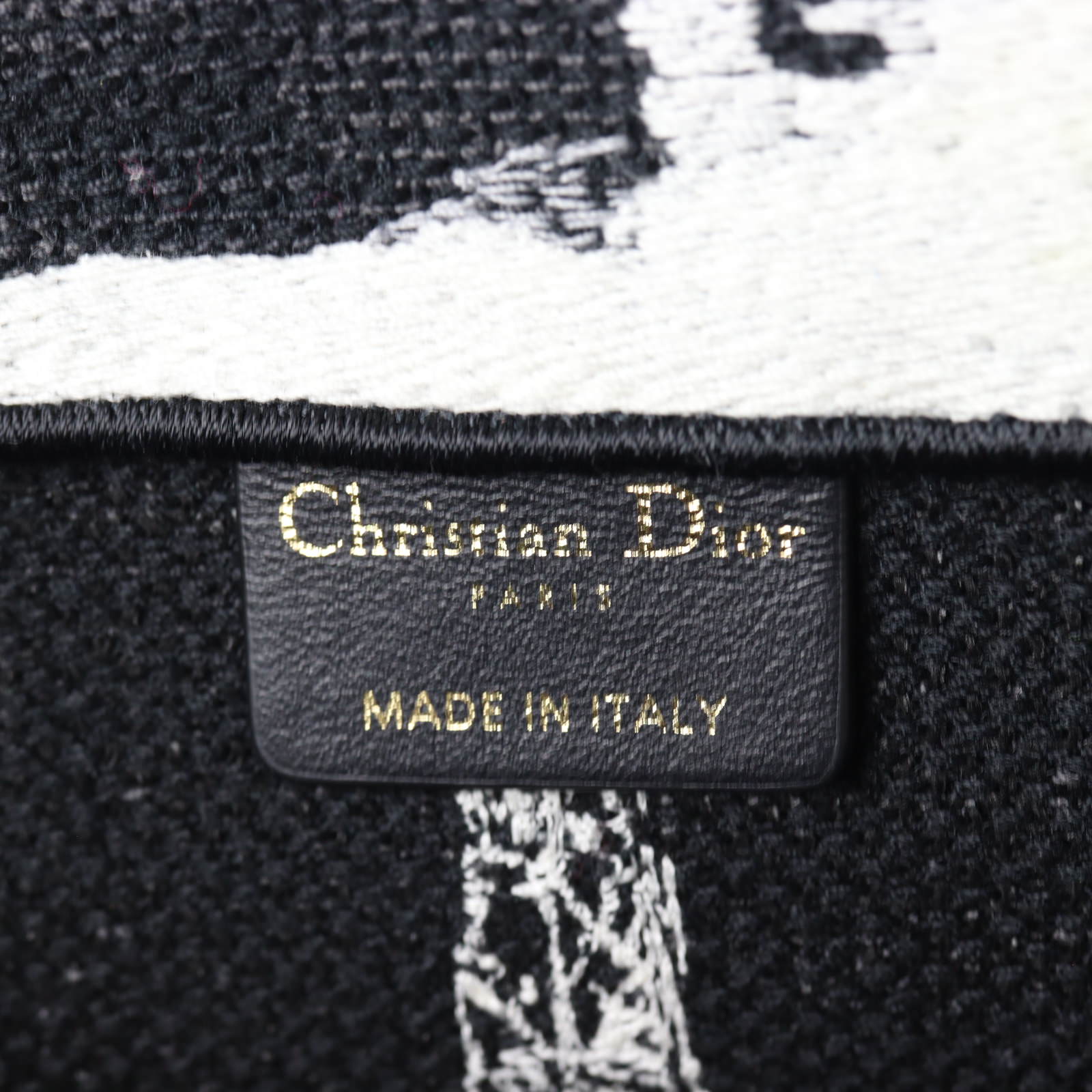 Dior Book Tote Medium Paris_IMG_8253.jpg