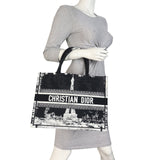 Dior Book Tote Medium Paris_IMG_8396.jpeg
