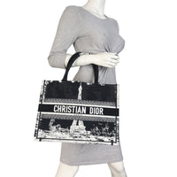 Dior Book Tote Medium Paris_IMG_8396.jpeg