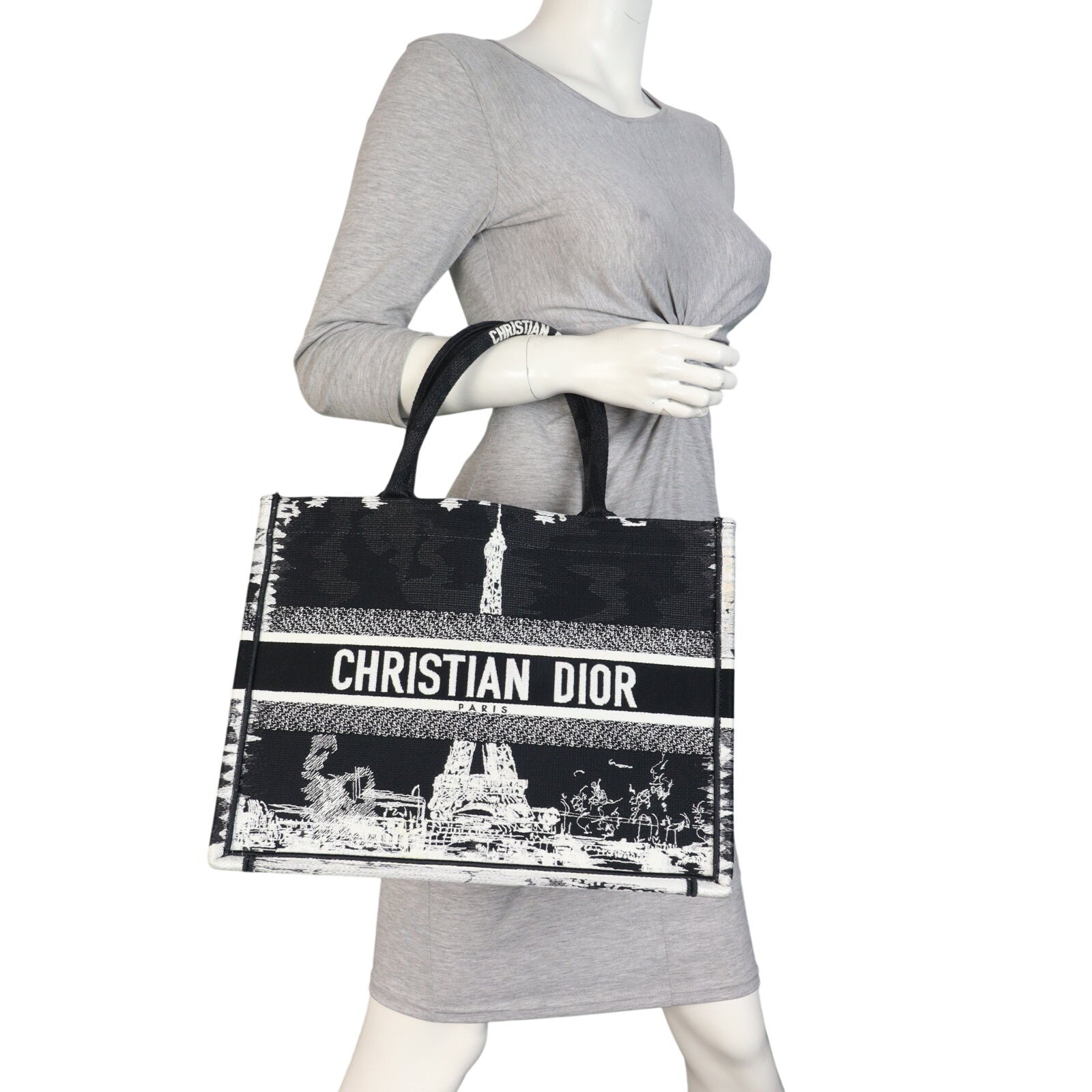 Dior Book Tote Medium Paris_IMG_8396.jpeg