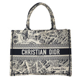 Dior Book Tote Medium Plan De Paris_IMG_4960.jpeg