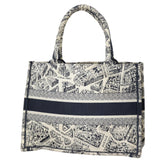 Dior Book Tote Medium Plan De Paris_IMG_4962.jpeg