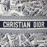 Dior Book Tote Medium Plan De Paris_IMG_4963.jpg