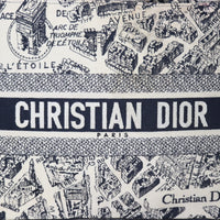 Dior Book Tote Medium Plan De Paris_IMG_4963.jpg