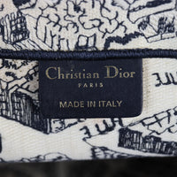 Dior Book Tote Medium Plan De Paris_IMG_4966.jpg