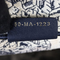 Dior Book Tote Medium Plan De Paris_IMG_4967.jpg
