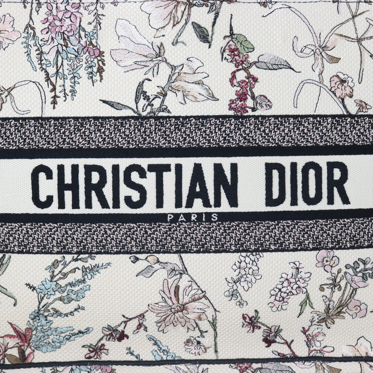 Dior Book Tote Medium_IMG_6529.jpg