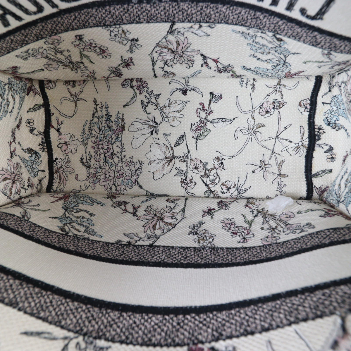 Dior Book Tote Medium_IMG_6532.jpg