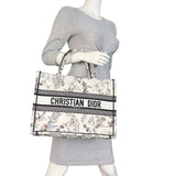 Dior Book Tote Medium_IMG_6604.jpeg