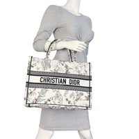 Dior Book Tote Medium_IMG_6604.jpeg