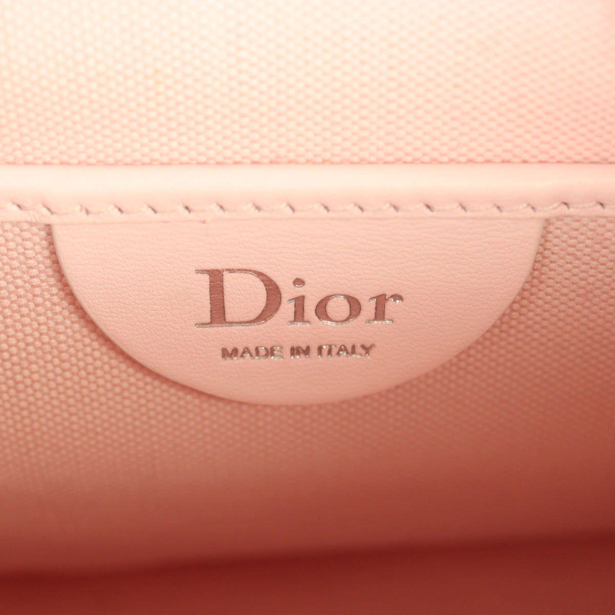 Dior Book Tote Mini with Strap Dioramour _IMG_4261.jpg