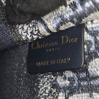 Dior Book Tote Mini_IMG_4658.jpg
