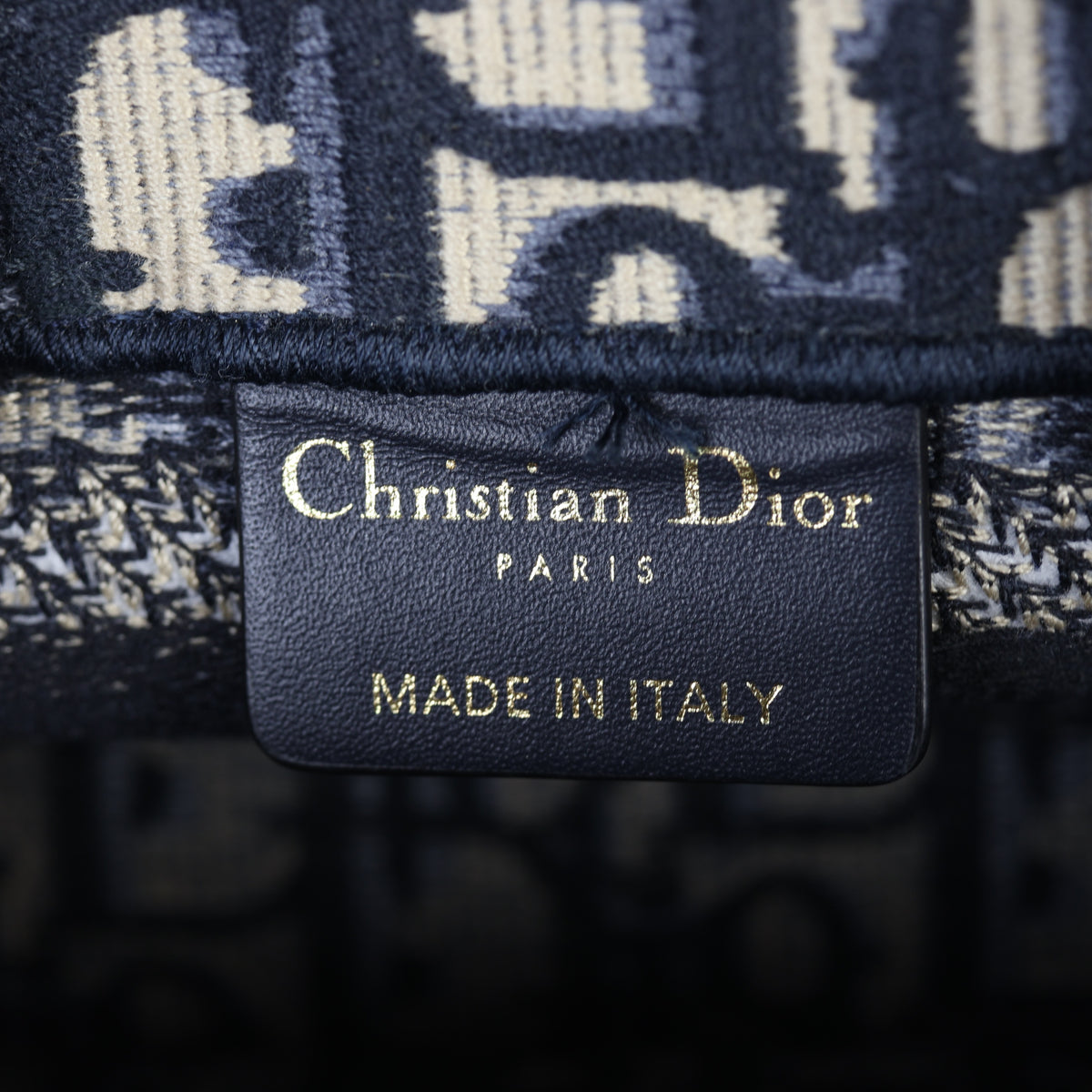 Dior Book Tote Mini_IMG_6652.jpg