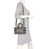 Dior Book Tote Mini_IMG_6764.jpeg