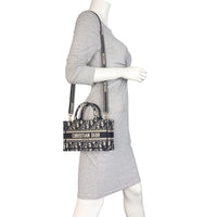 Dior Book Tote Mini_IMG_6764.jpeg
