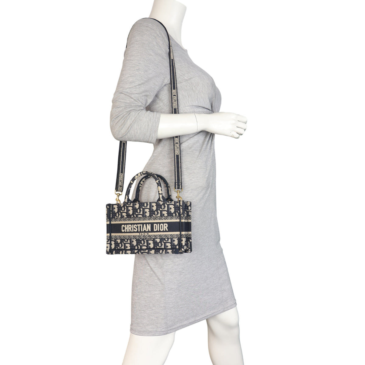 Dior Book Tote Mini_IMG_6764.jpeg