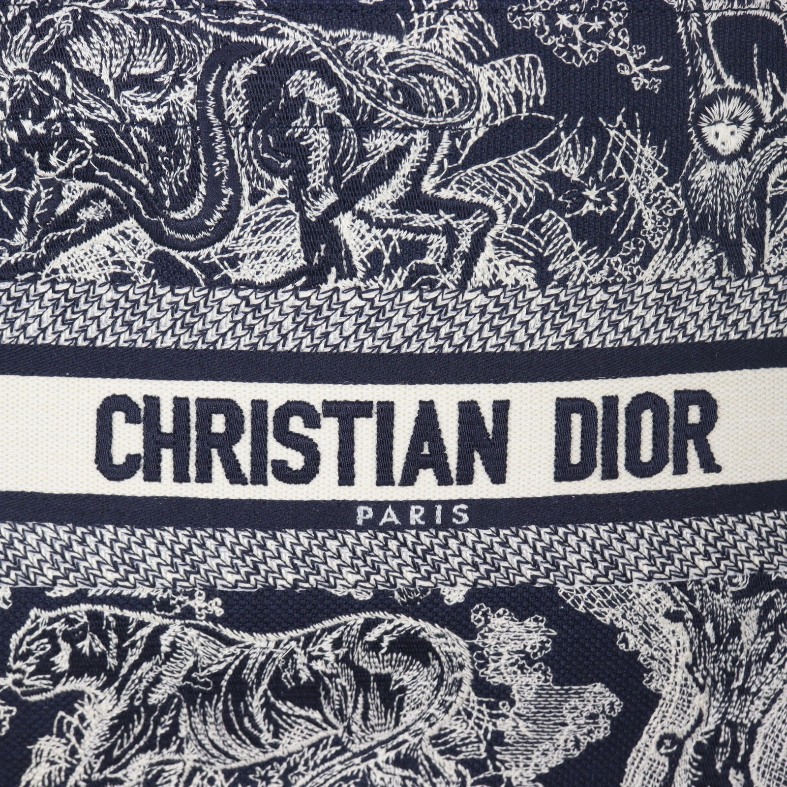 Dior Book Tote Small Toile de Jouy_IMG_4231.jpg