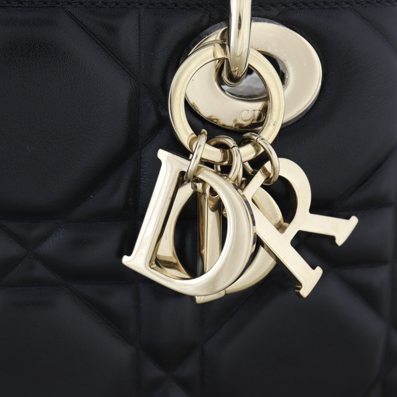 Dior Cannage The Lady 95.22 Bag_IMG_0799.jpg