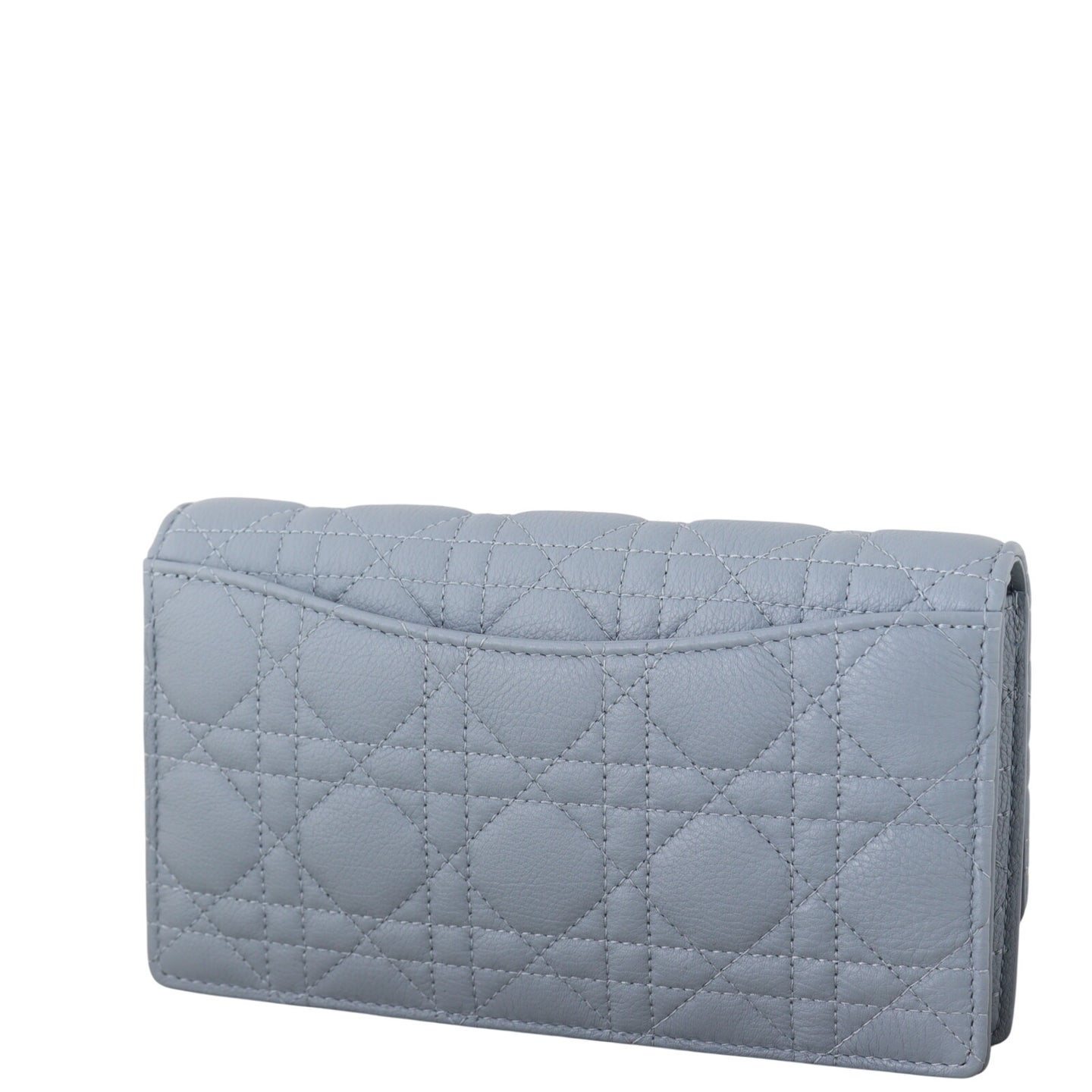 Dior Caro Chain Pouch_IMG_4835.jpeg