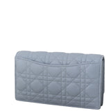 Dior Caro Chain Pouch_IMG_4835.jpeg