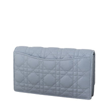 Dior Caro Chain Pouch_IMG_4835.jpeg