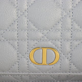 Dior Caro Chain Pouch_IMG_4837.jpg