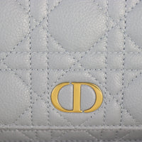 Dior Caro Chain Pouch_IMG_4837.jpg