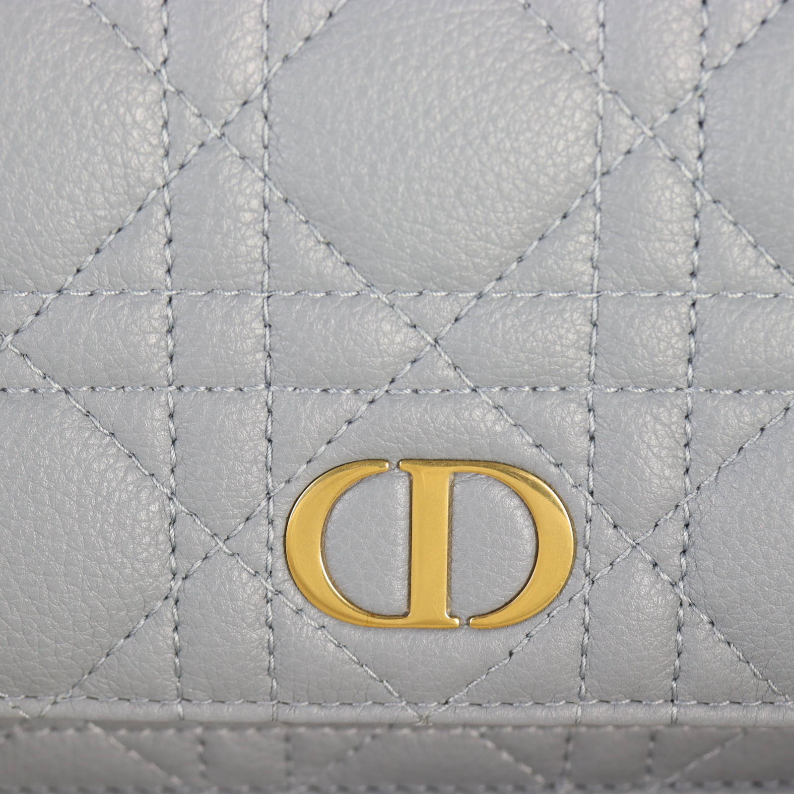 Dior Caro Chain Pouch_IMG_4837.jpg