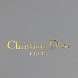 Dior Caro Chain Pouch_IMG_4838.jpg