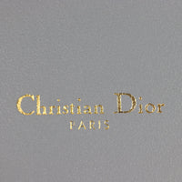 Dior Caro Chain Pouch_IMG_4838.jpg