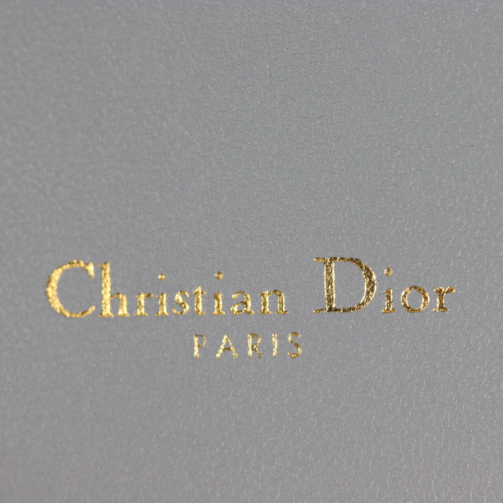 Dior Caro Chain Pouch_IMG_4838.jpg