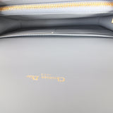 Dior Caro Chain Pouch_IMG_4842.jpg