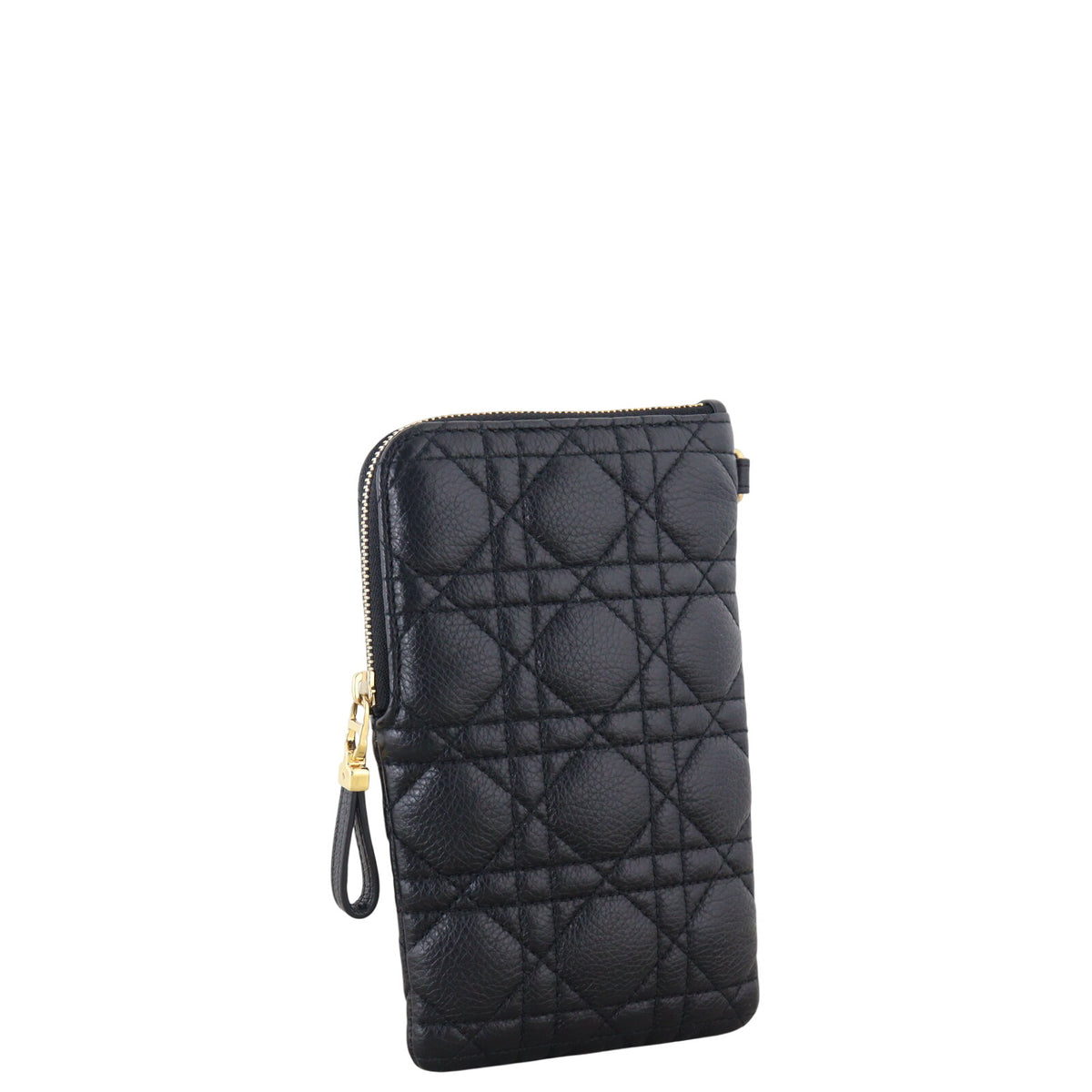 Dior Caro Multifunction Pouch_IMG_0917.jpeg