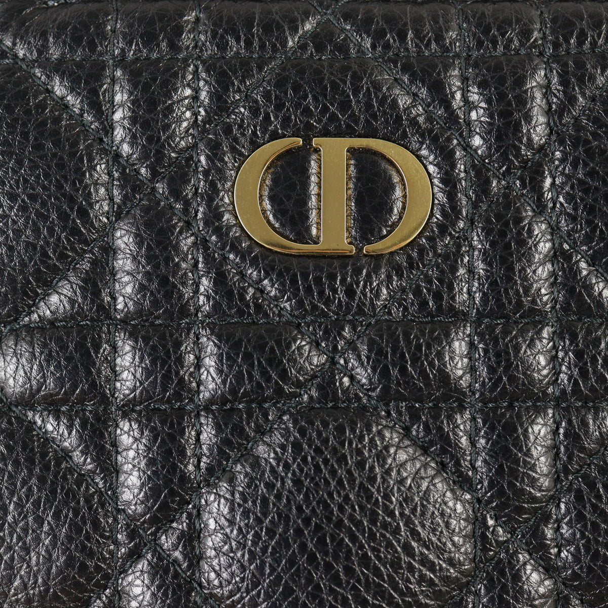 Dior Caro Multifunction Pouch_IMG_0919.jpg