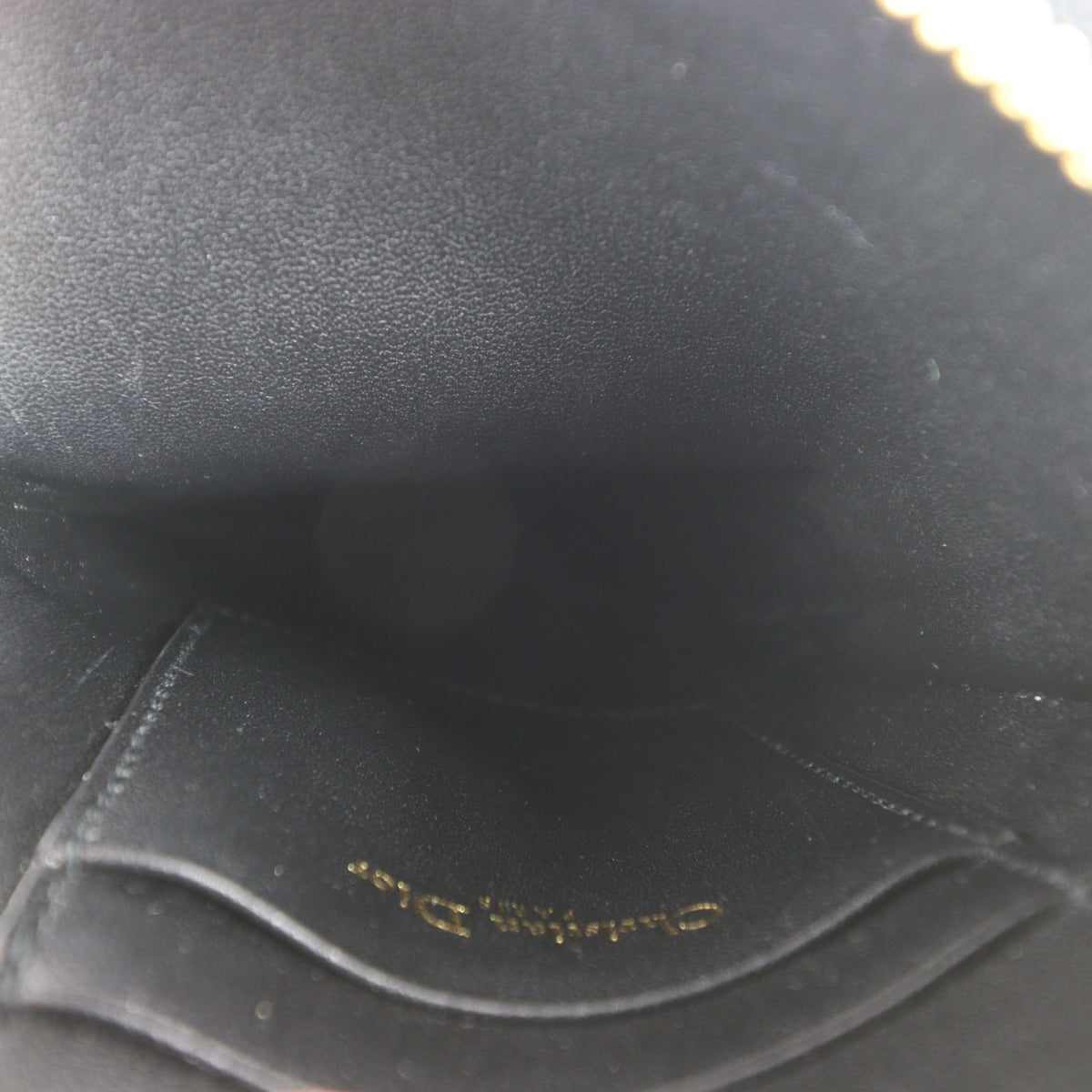 Dior Caro Multifunction Pouch_IMG_0926.jpg