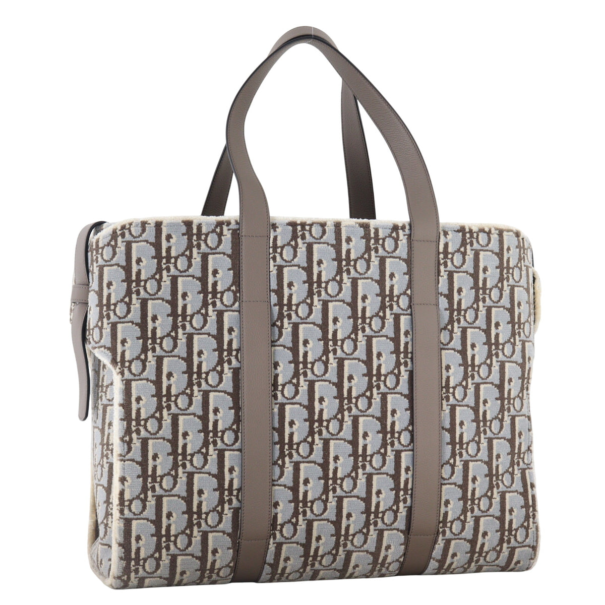 Dior Corolle Tote Large Oblique_IMG_0928.jpeg