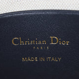 Dior DiorStar Bucket Bag Mini Oblique_IMG_4808.jpg