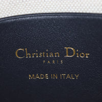 Dior DiorStar Bucket Bag Mini Oblique_IMG_4808.jpg