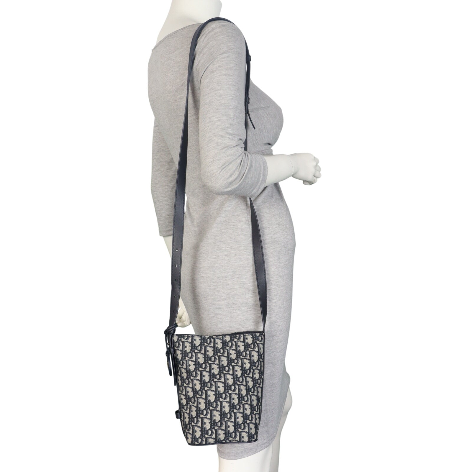 Dior DiorStar Bucket Bag Mini Oblique_IMG_4862.jpeg